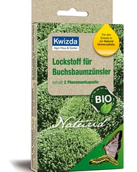 Naturid® Lockstoff Buchsbaumzünsler
