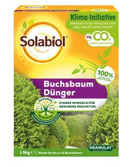 Buchsbaum Dünger